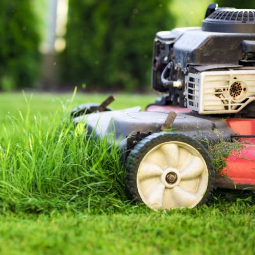 Lawn Maintenance